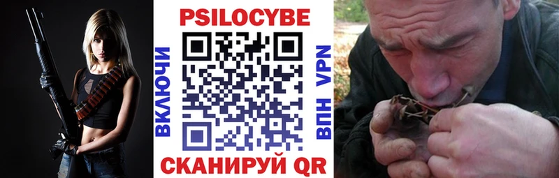 купить наркотик Печора Галлюциногенные грибы Psilocybe
